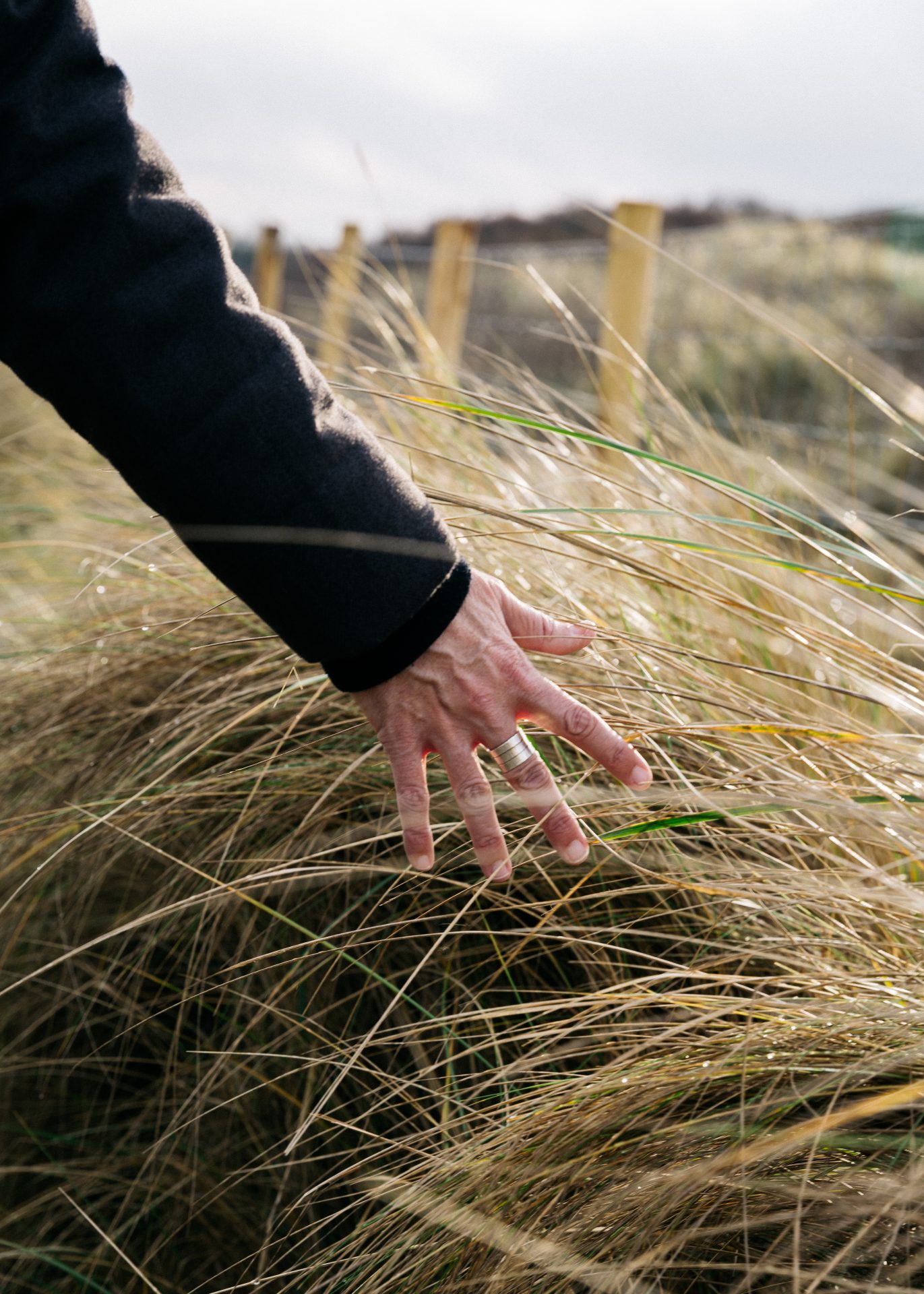hand in gras